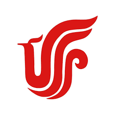 Air China Air China